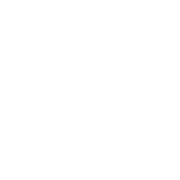 Icone Grupo Dimensão Europeia